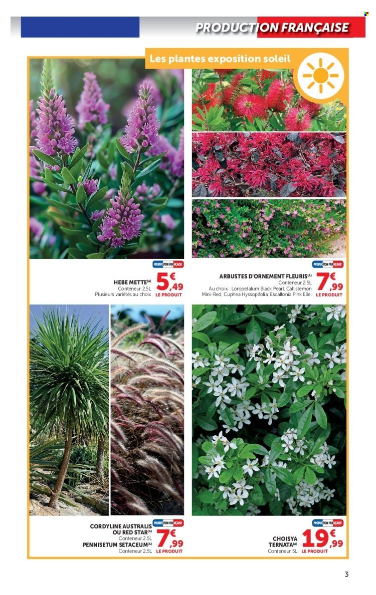 Catalogue HYPER U - Jardin d'automne à prix bas