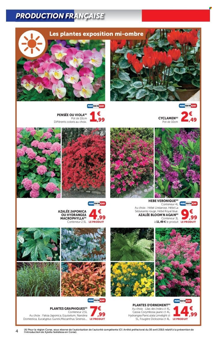 Catalogue HYPER U - Jardin d'automne à prix bas
