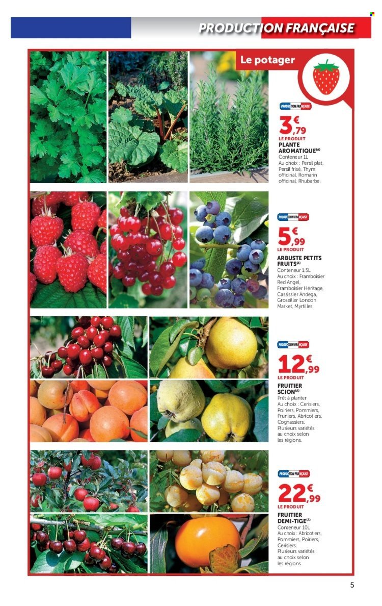 Catalogue HYPER U - Jardin d'automne à prix bas
