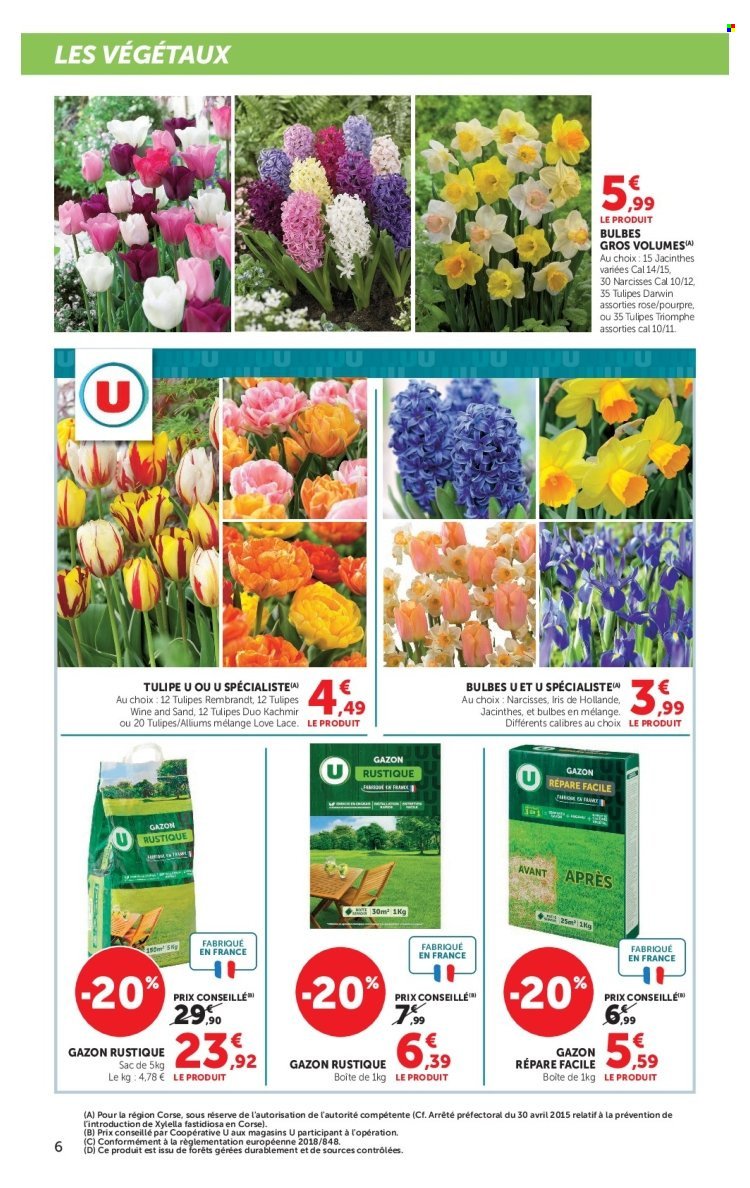 Catalogue HYPER U - Jardin d'automne à prix bas