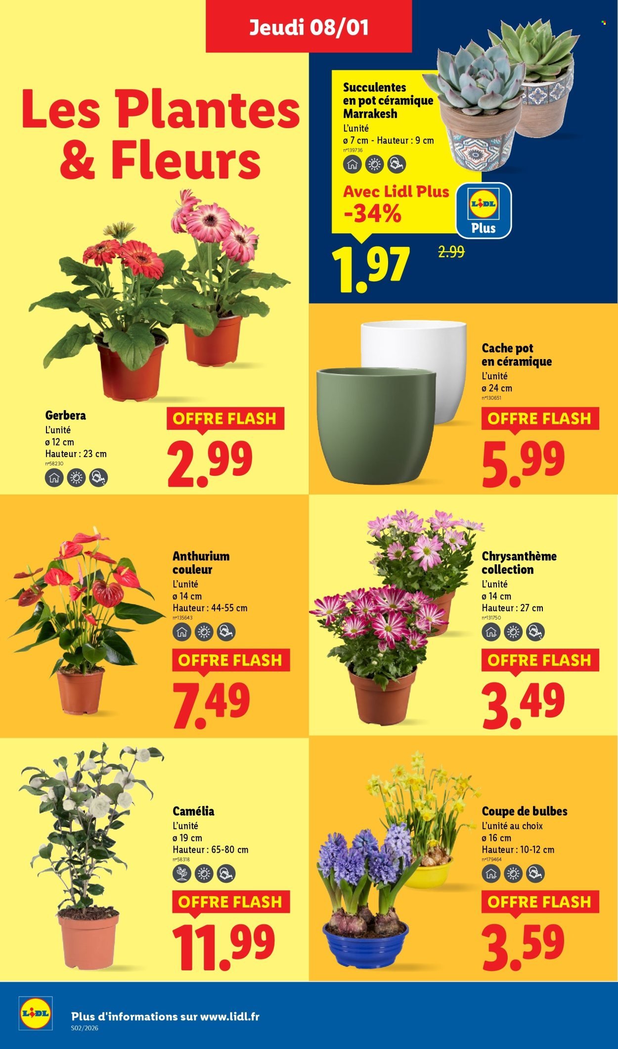 Catalogue LIDL - Les promos de la semaine (2026-01-08 - 2026-01-14)