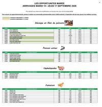 Catalogue PROMOCASH - Offre marée