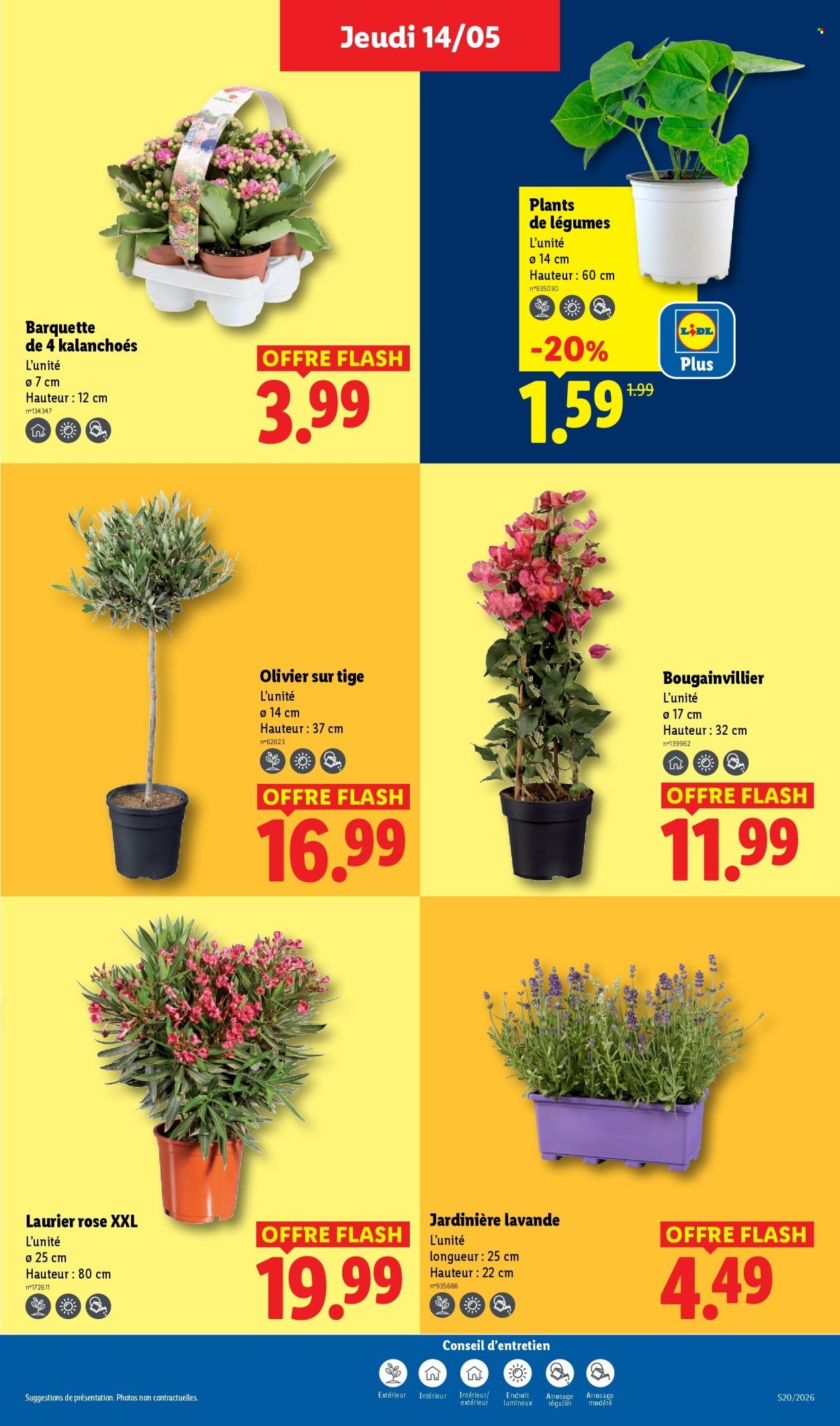Catalogue LIDL - Les promos de la semaine (2026-05-14 - 2026-05-20)