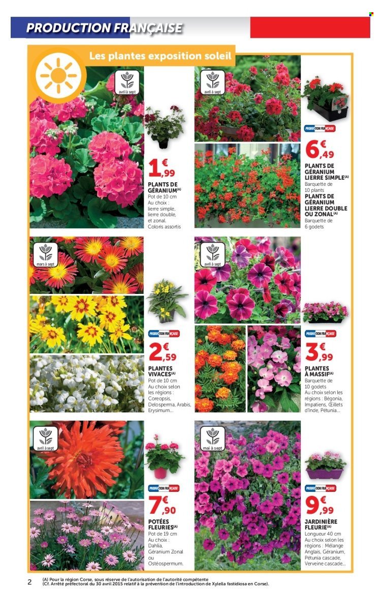 Catalogue HYPER U - Jardin & Terrasse à prix bas