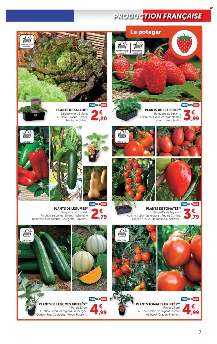 Catalogue HYPER U - Jardin & Terrasse à prix bas (2026-04-14 - 2026-04-26)