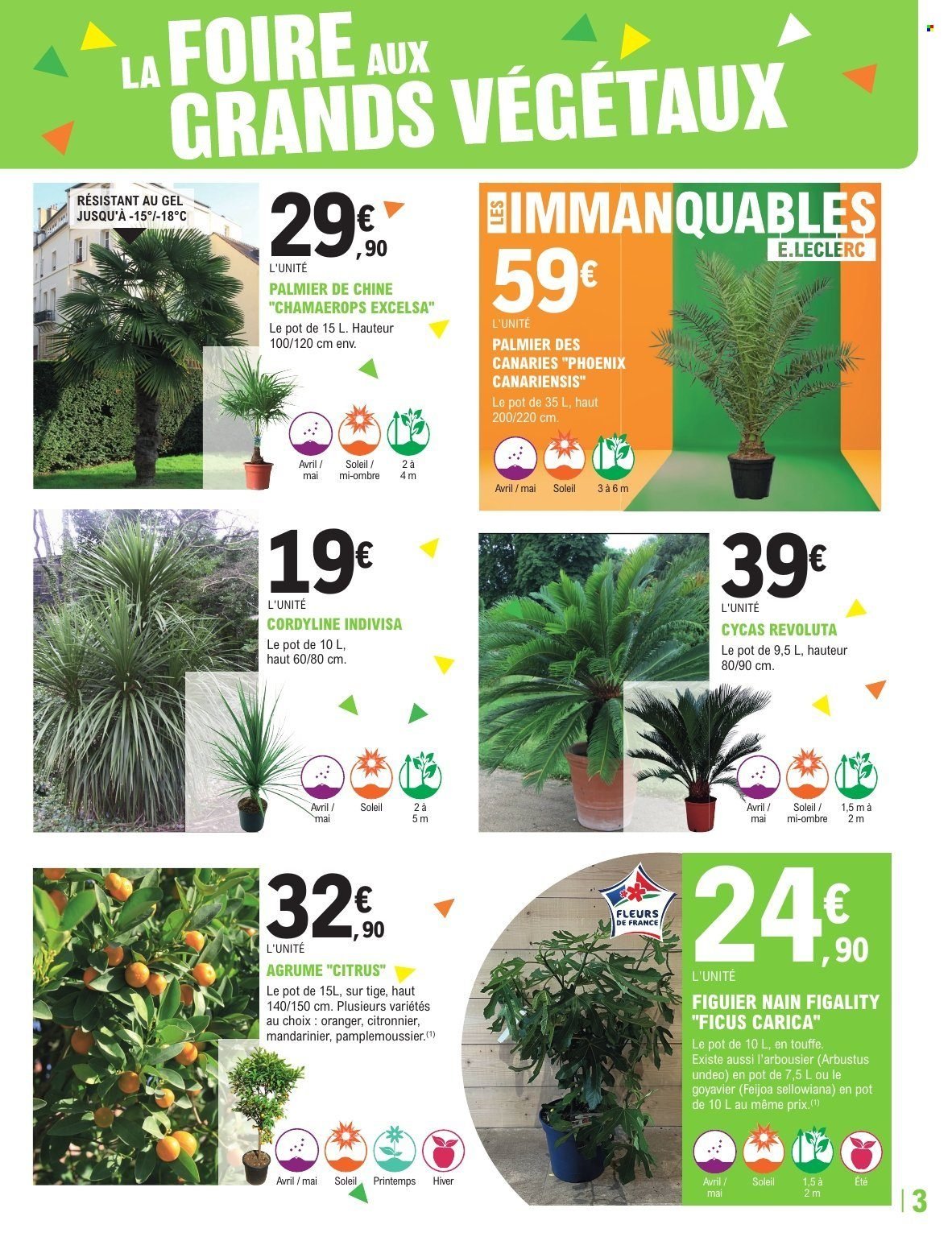 Catalogue E.LECLERC - TRAFIC JARDI PRINTEMPS - GRANDS VEGETAUX (2026-04-07 - 2026-04-18)