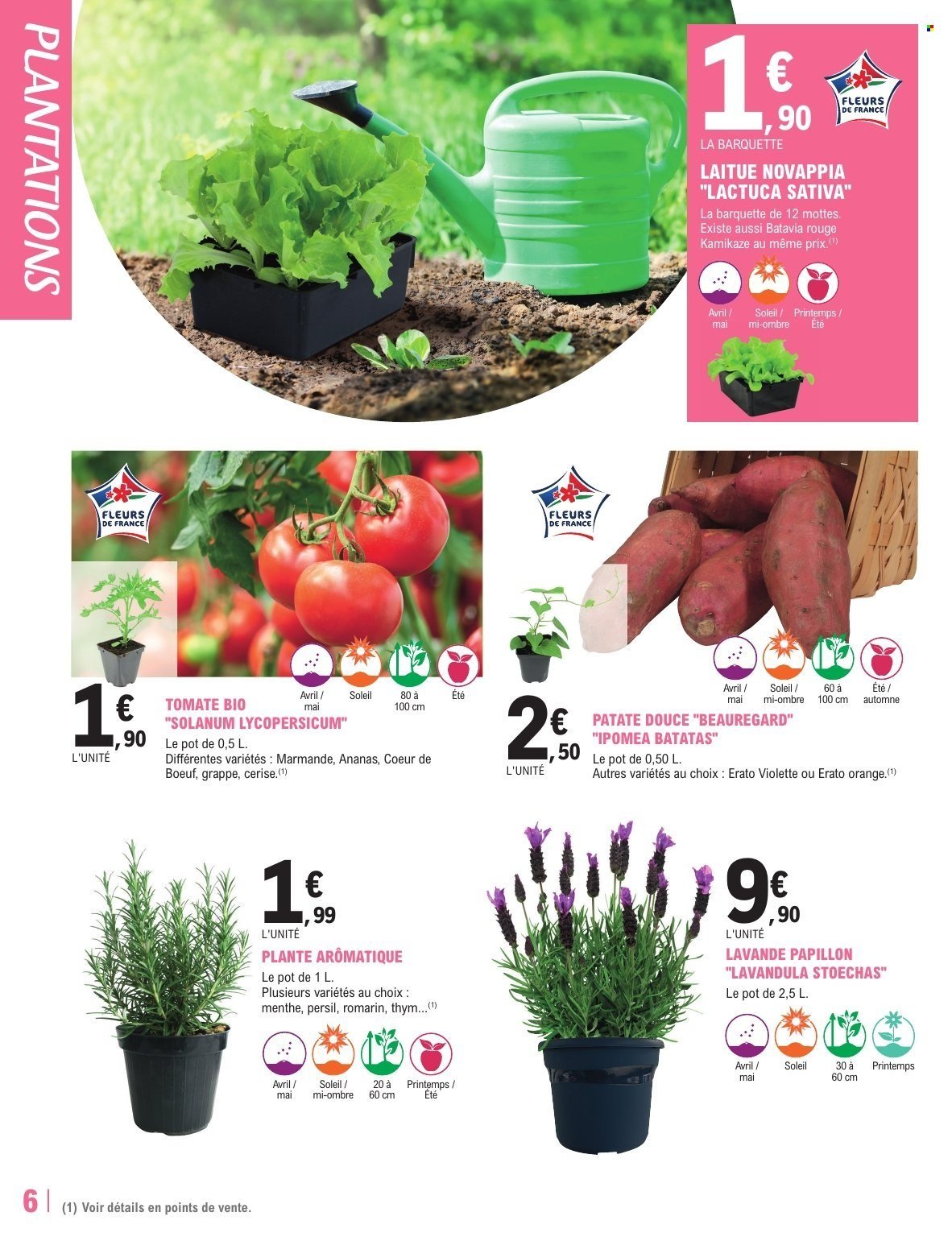 Catalogue E.LECLERC - TRAFIC JARDI PRINTEMPS - GRANDS VEGETAUX (2026-04-07 - 2026-04-18)
