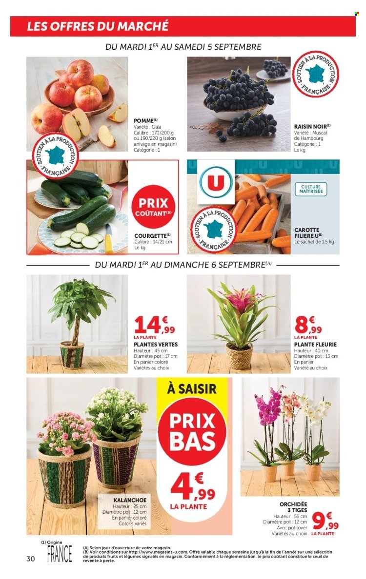Catalogue SUPER U - Les prix bas de la semaine
