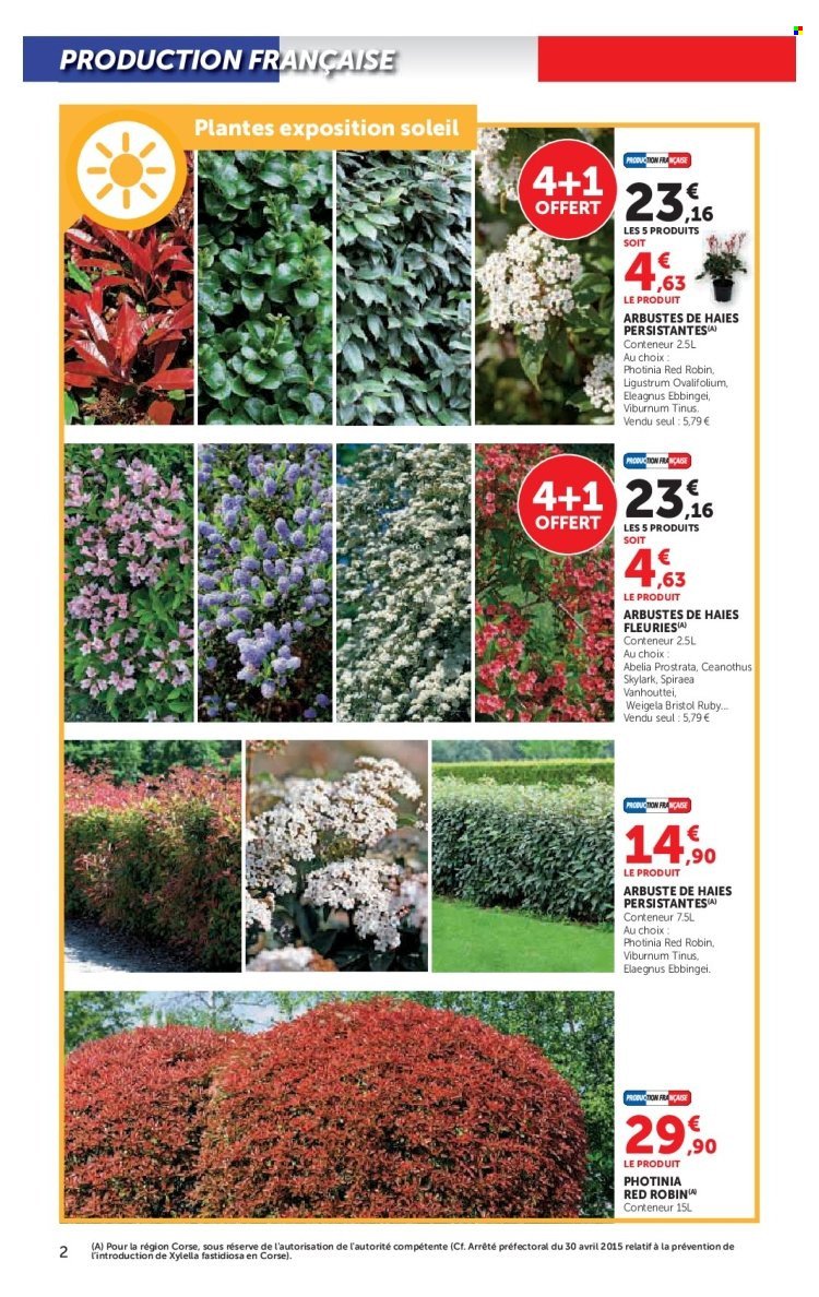 Catalogue HYPER U - Le jardin à prix bas