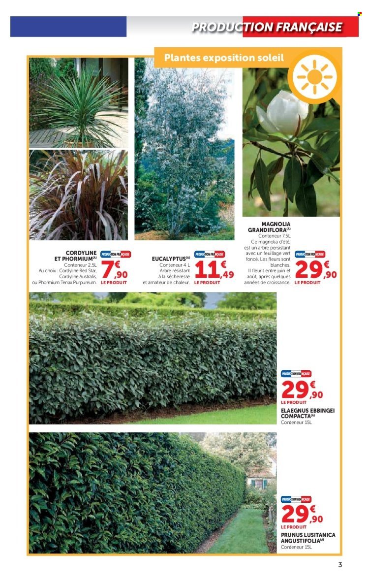 Catalogue HYPER U - Le jardin à prix bas
