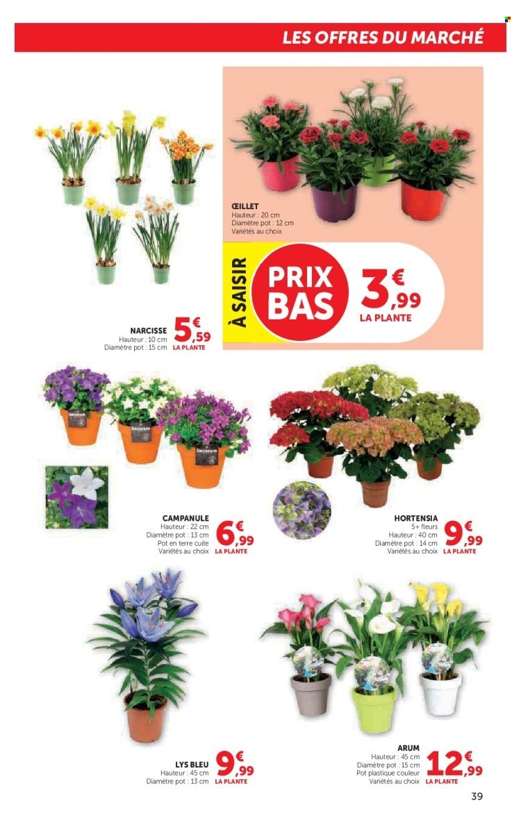 Catalogue HYPER U - Le jardin à prix bas