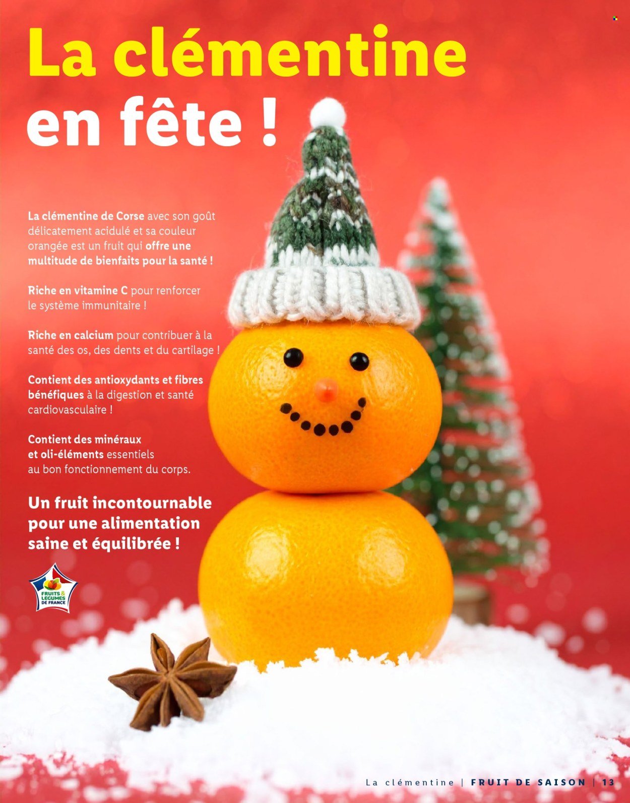 Catalogue LIDL - Pour des fêtes étincelantes