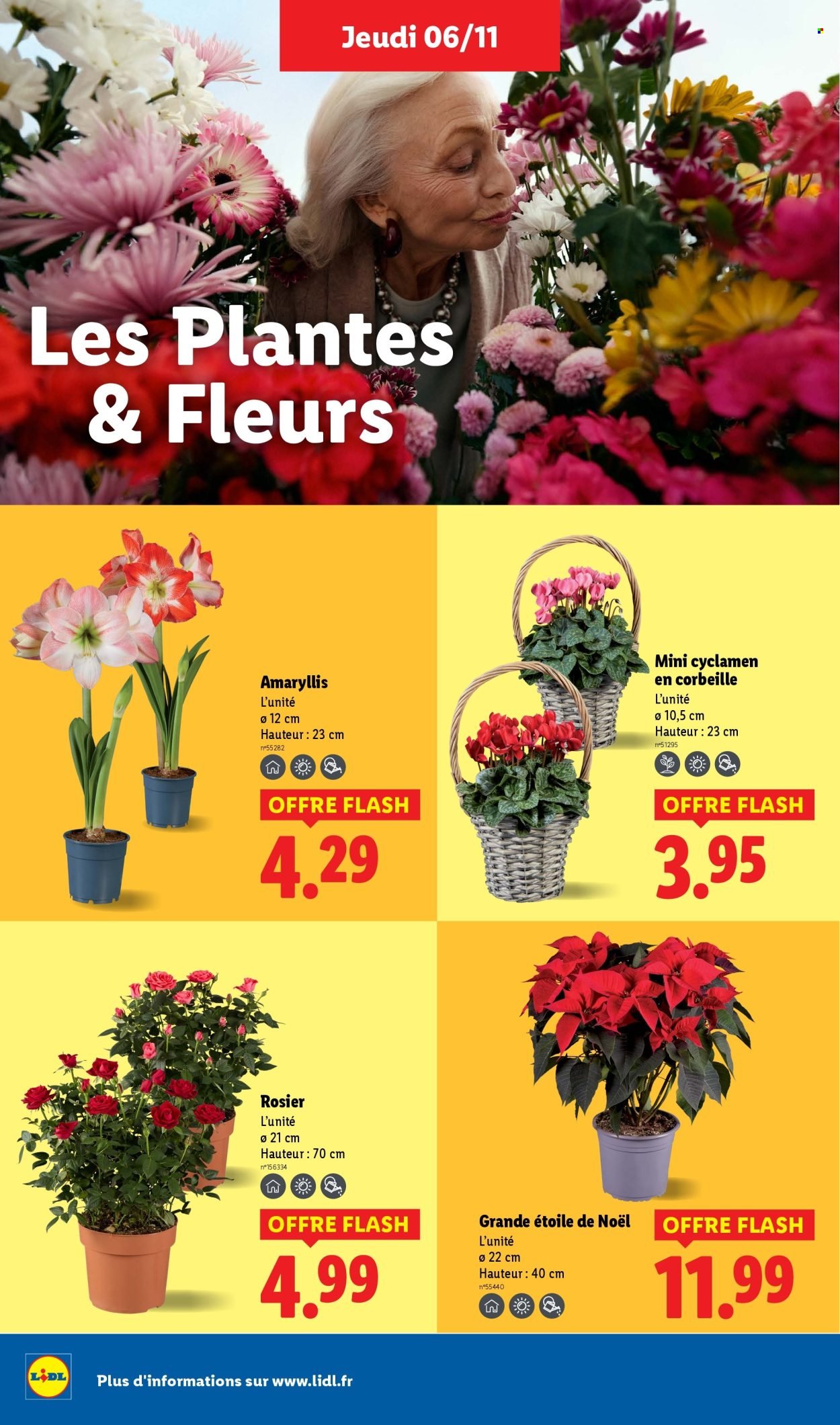 Catalogue LIDL - Les promos de la semaine