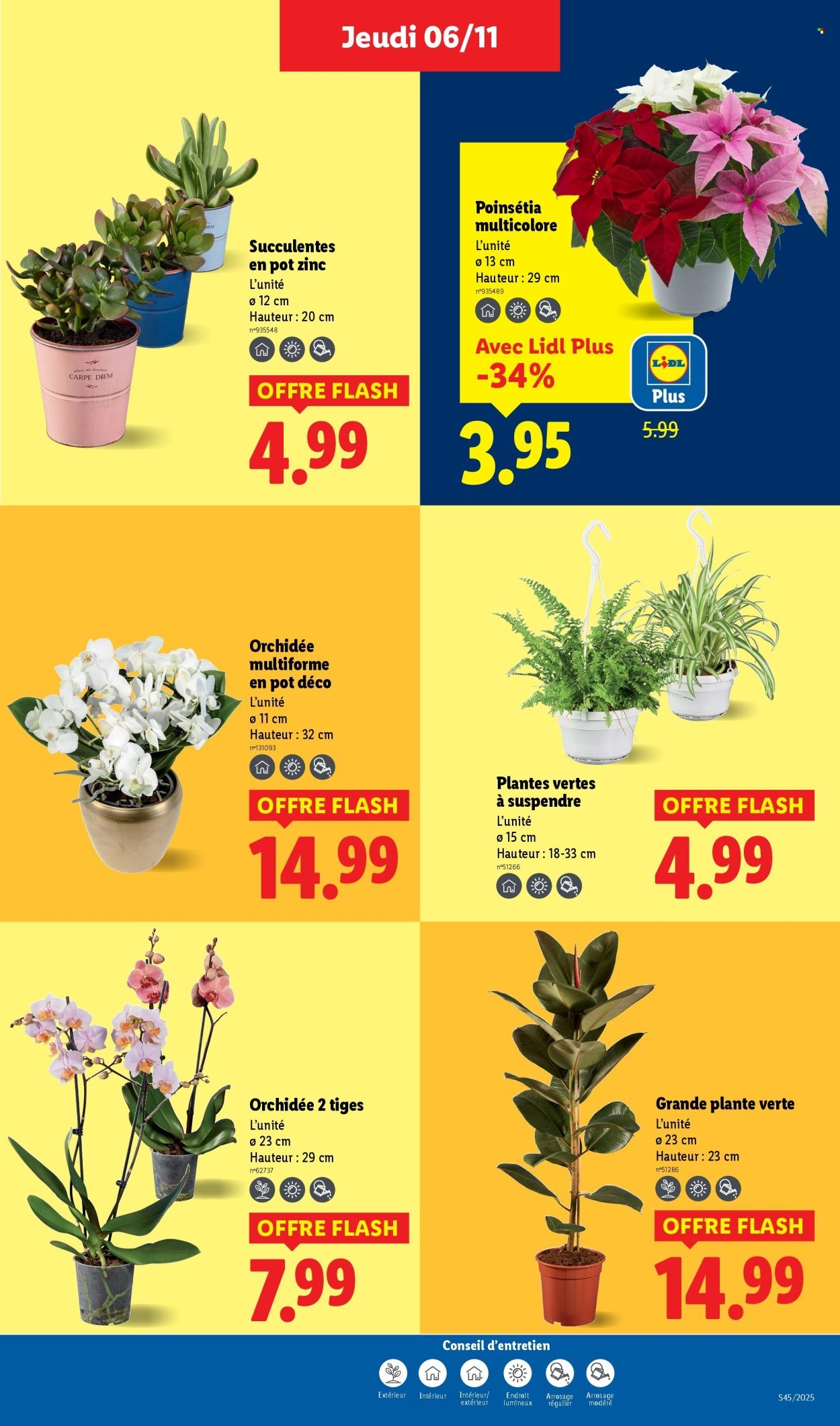 Catalogue LIDL - Les promos de la semaine