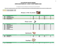 Catalogue PROMOCASH - Offre marée