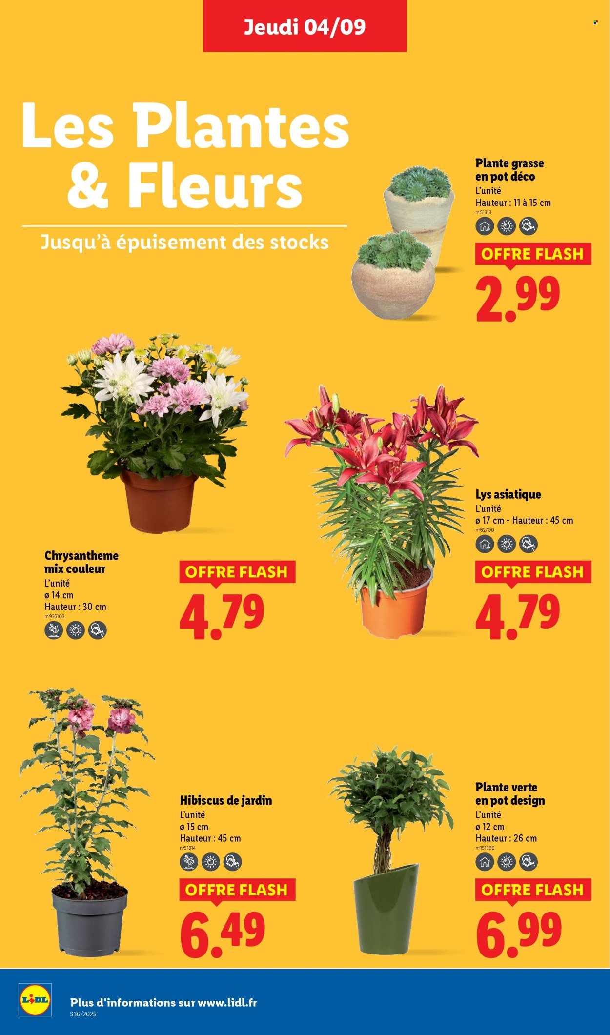 Catalogue LIDL - Les promos de la semaine (2025-09-04 - 2025-09-10)
