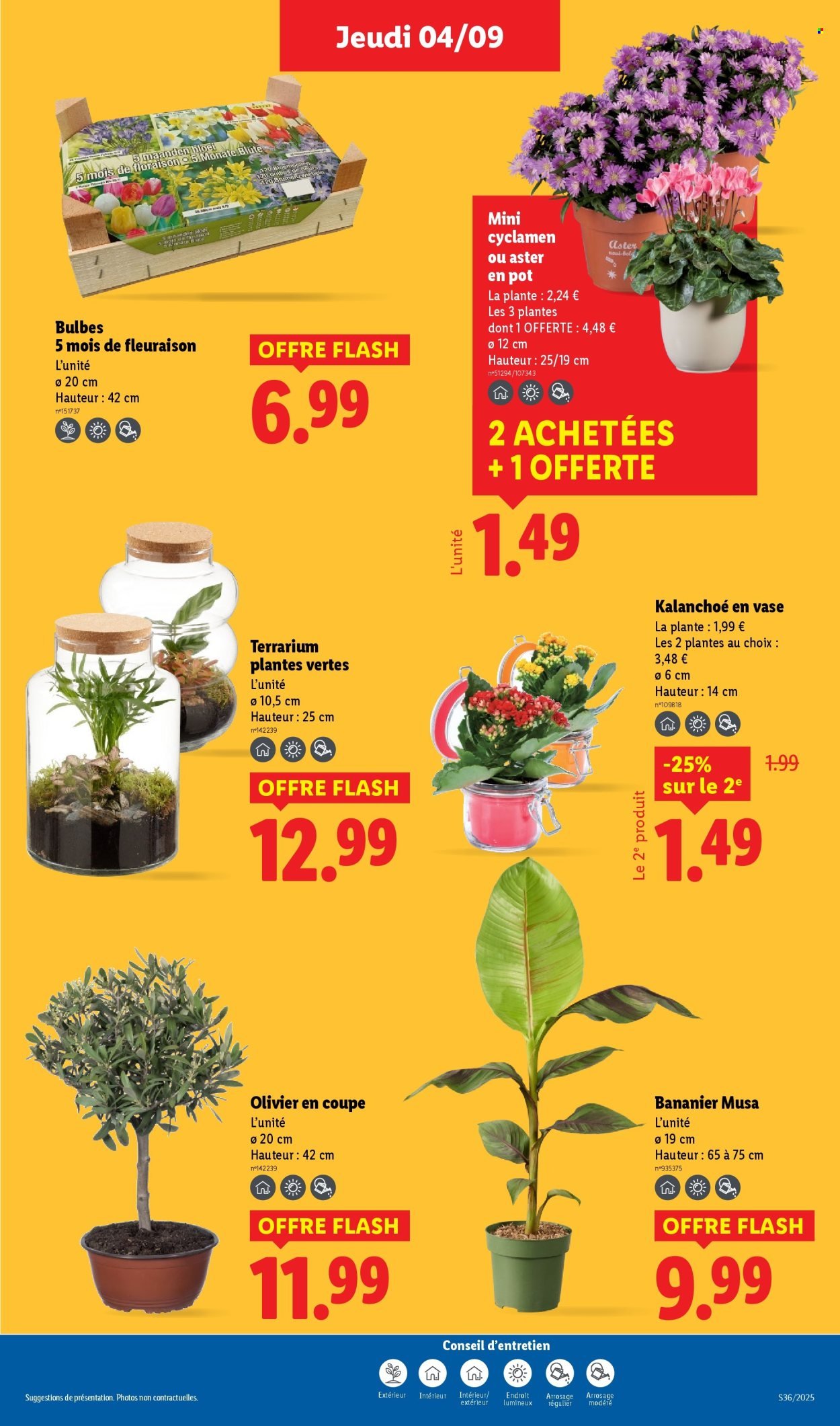 Catalogue LIDL - Les promos de la semaine (2025-09-04 - 2025-09-10)