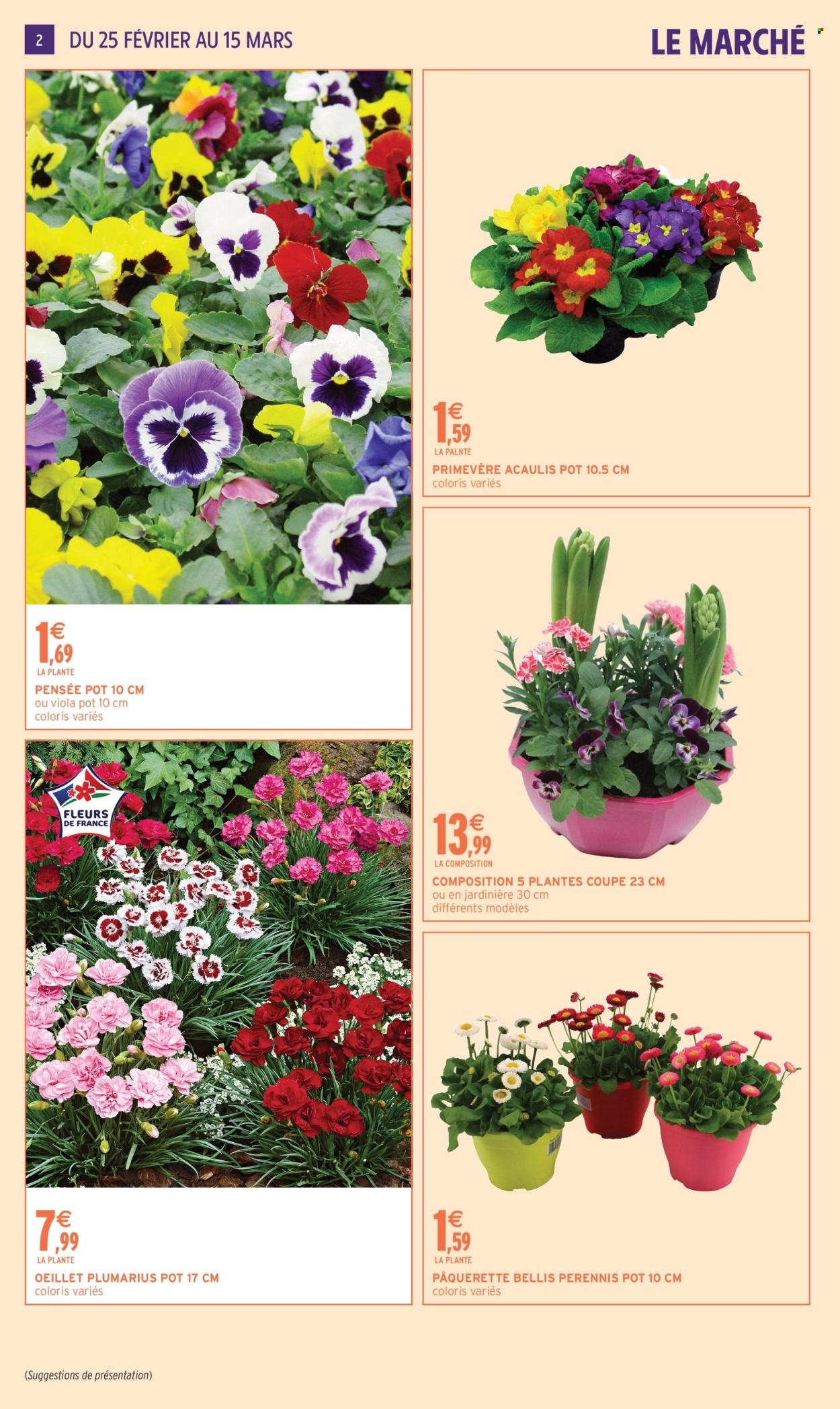 Catalogue INTERMARCHÉ - JARDIN MARS