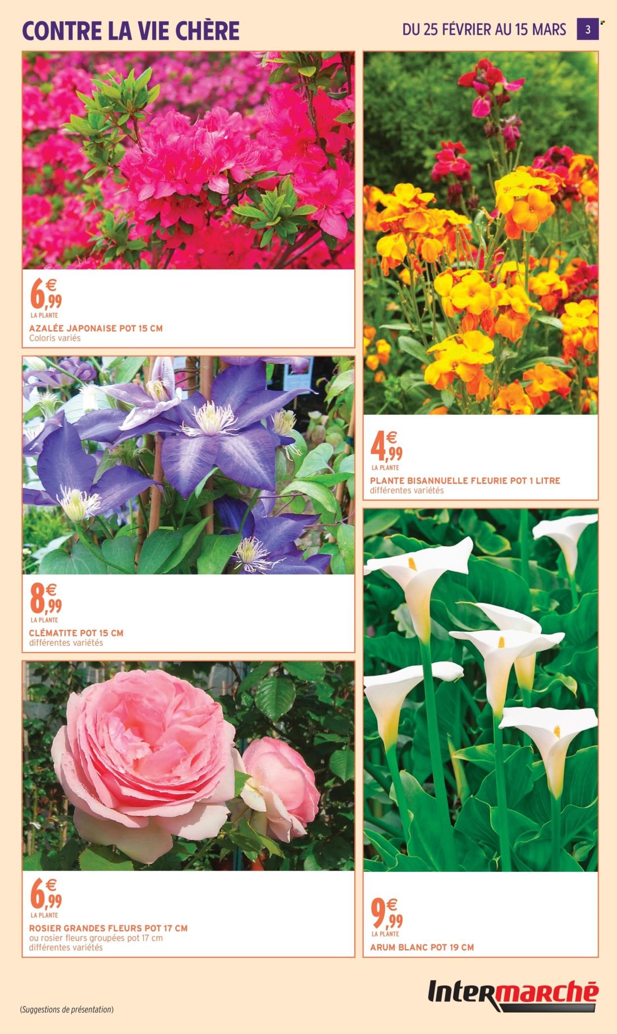 Catalogue INTERMARCHÉ - JARDIN MARS