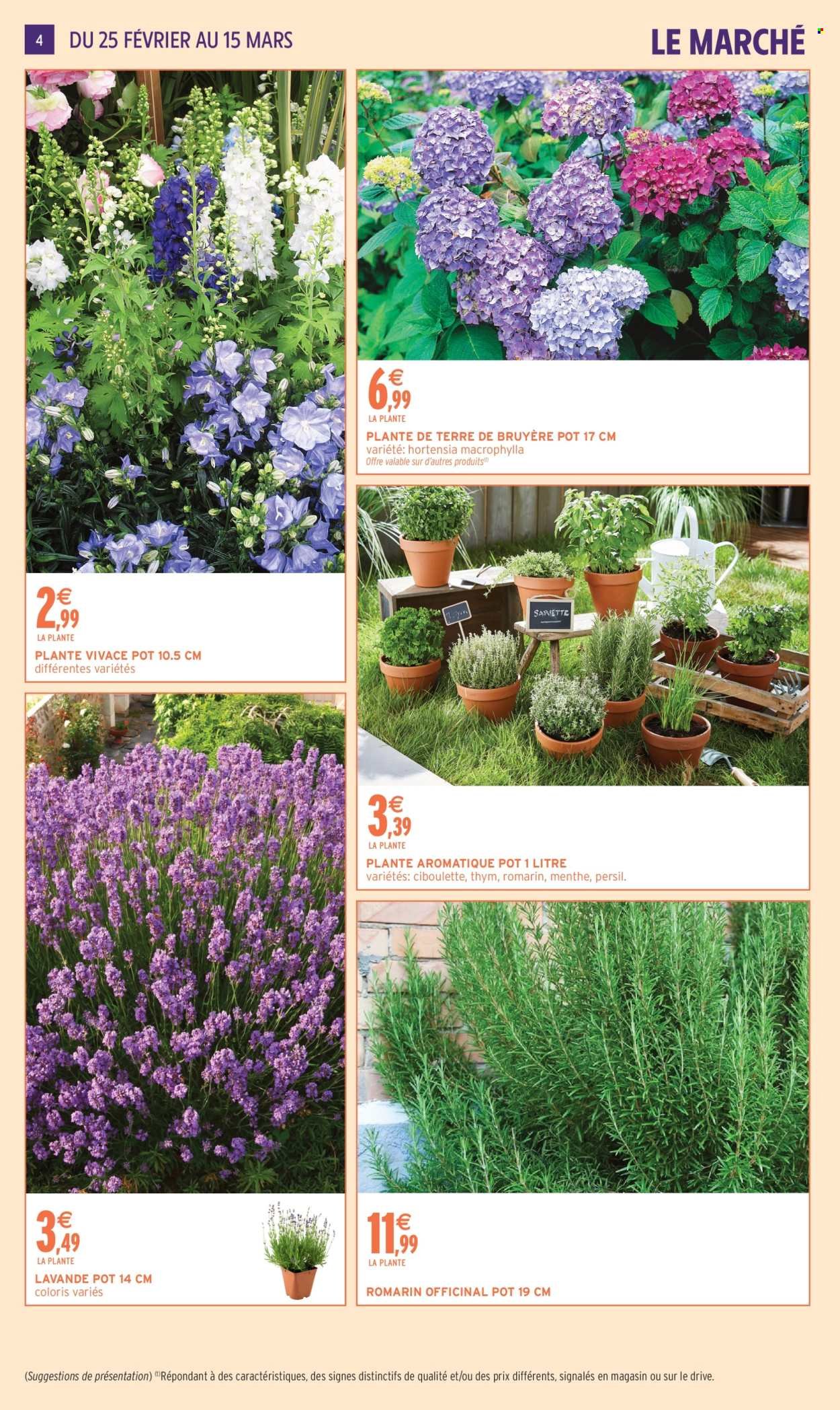 Catalogue INTERMARCHÉ - JARDIN MARS (2026-02-24 - 2026-03-15)