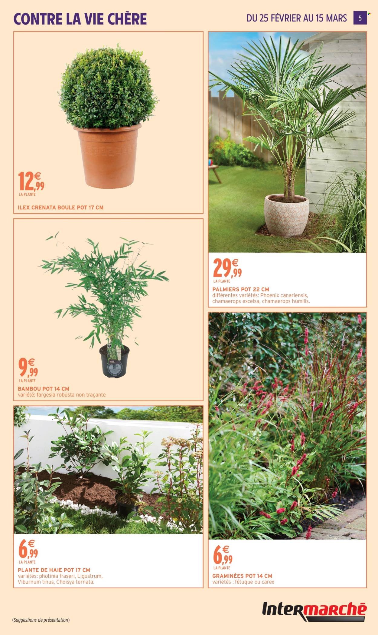 Catalogue INTERMARCHÉ - JARDIN MARS (2026-02-24 - 2026-03-15)