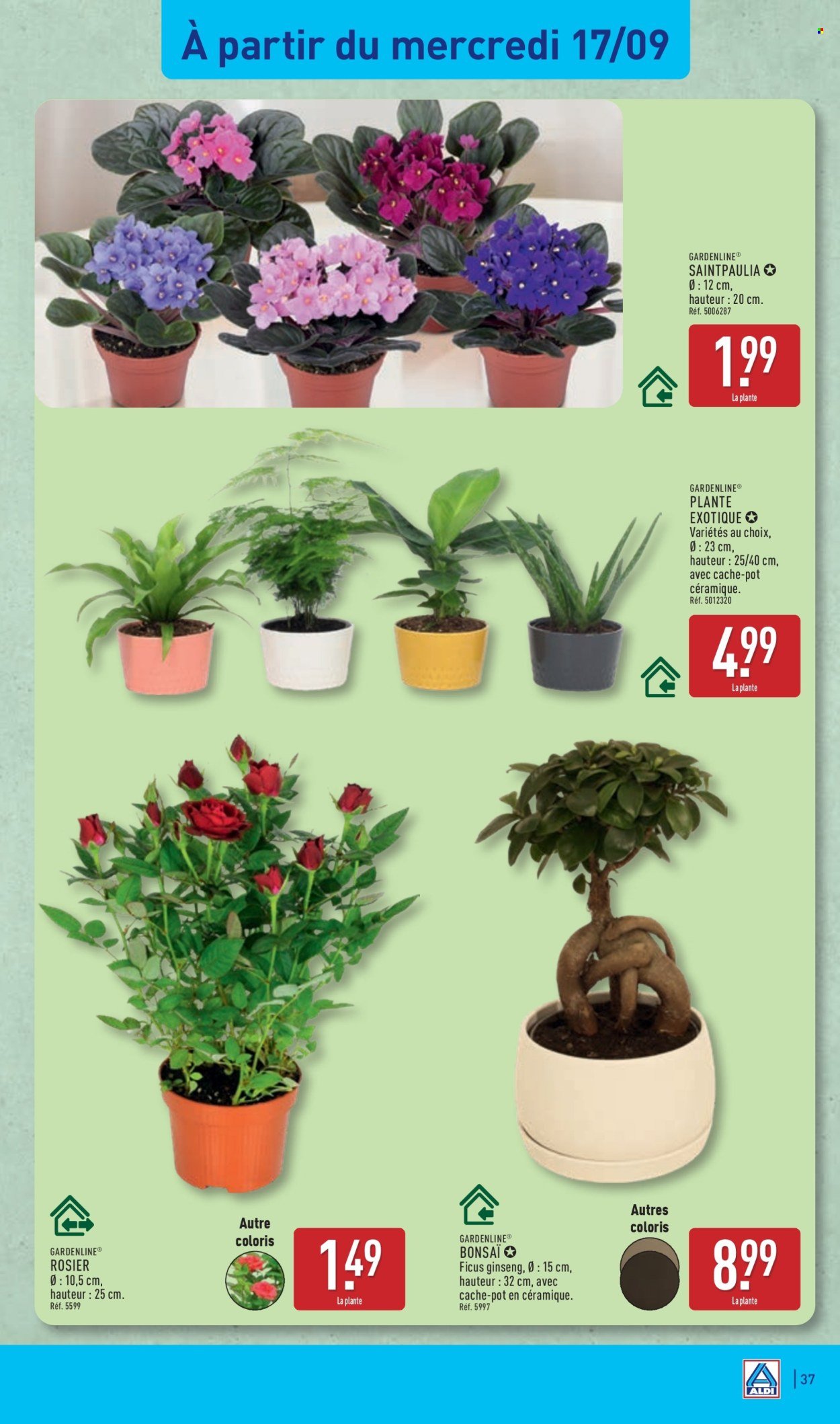 Catalogue ALDI - Les très grands arrivages (2025-09-16 - 2025-09-22)