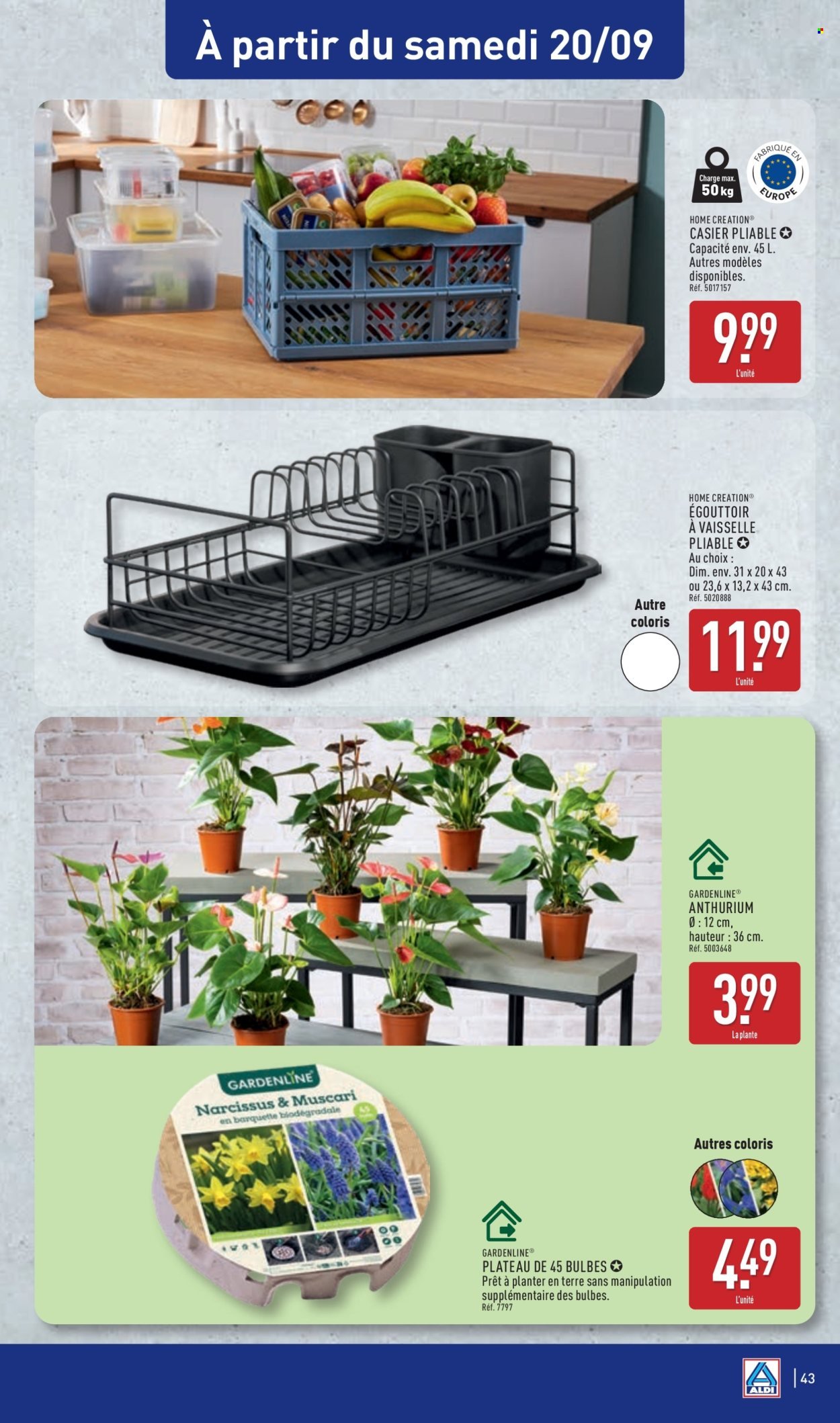 Catalogue ALDI - Les très grands arrivages (2025-09-16 - 2025-09-22)