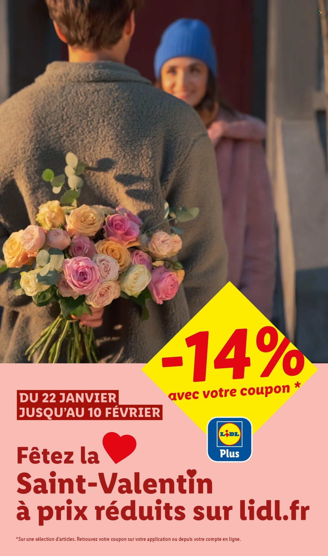 Catalogue LIDL - Les promos de la semaine