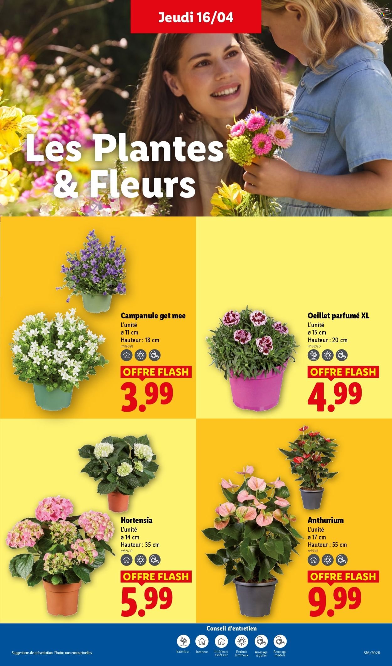 Catalogue LIDL - Les promos de la semaine (2026-04-16 - 2026-04-22)