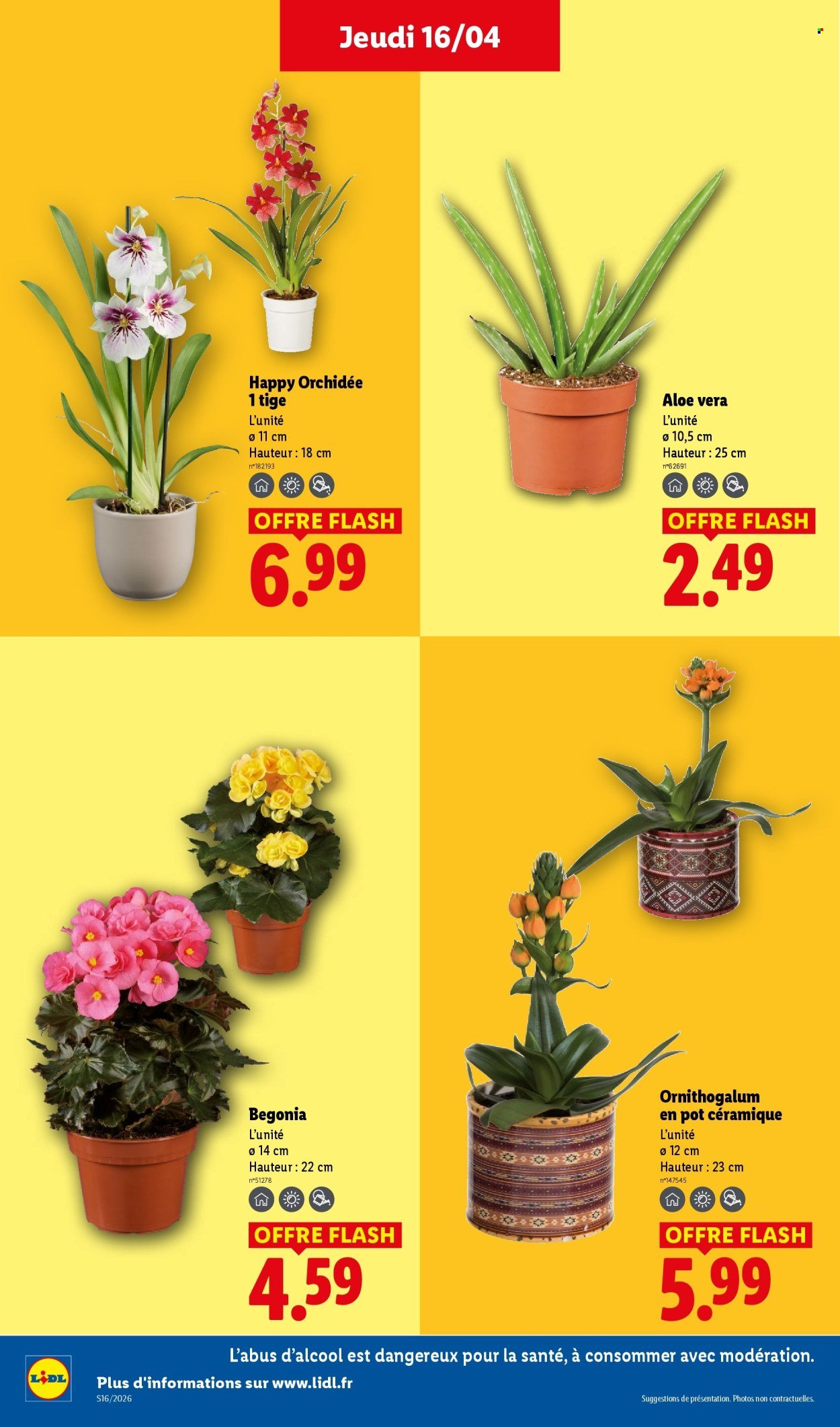 Catalogue LIDL - Les promos de la semaine (2026-04-16 - 2026-04-22)