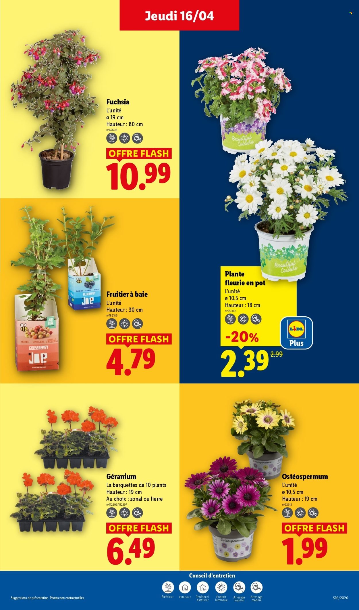 Catalogue LIDL - Les promos de la semaine (2026-04-16 - 2026-04-22)