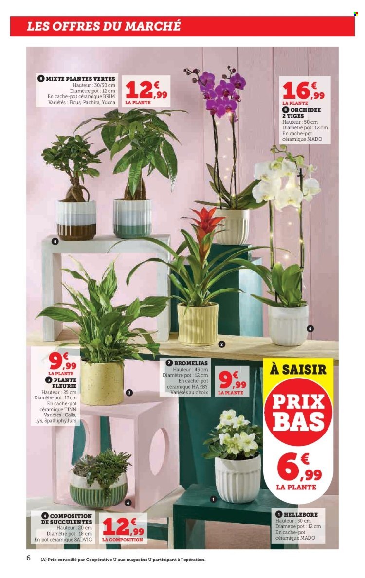 Catalogue SUPER U - La maison à prix bas