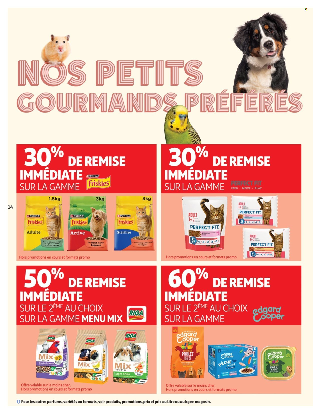 Catalogue AUCHAN - Café, automne supers