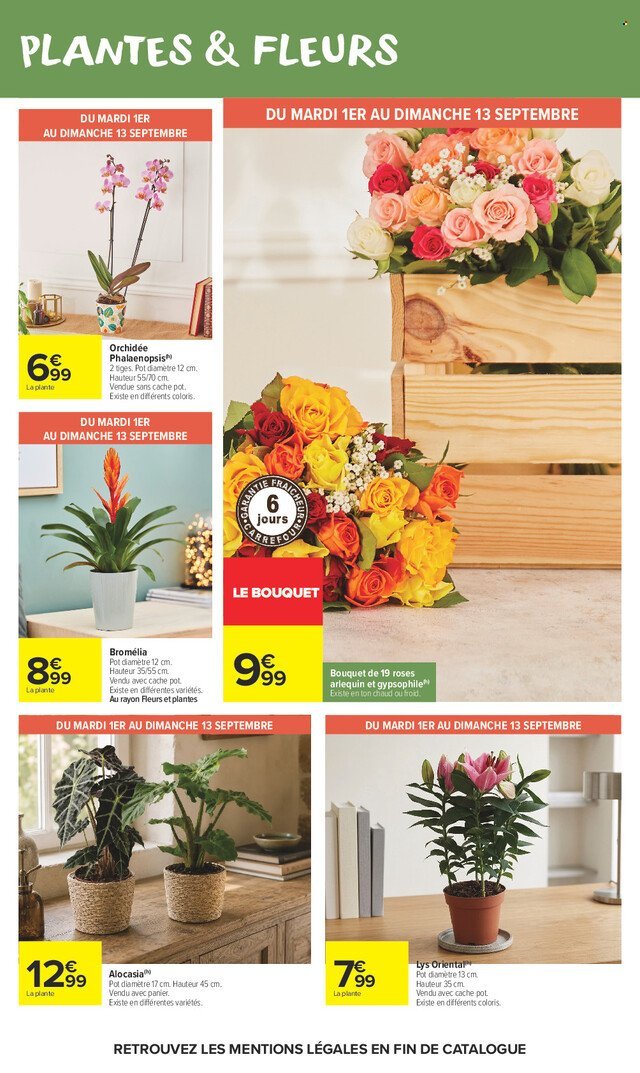 Catalogue CARREFOUR MARKET - LE COIN DES ENFANTS