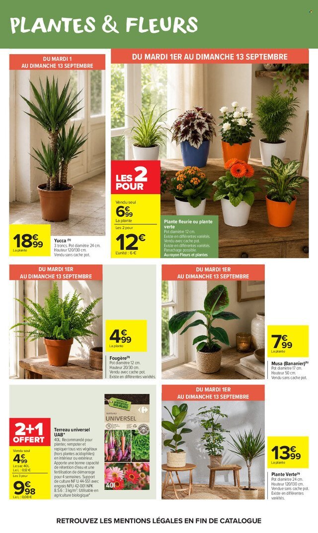 Catalogue CARREFOUR MARKET - LE COIN DES ENFANTS