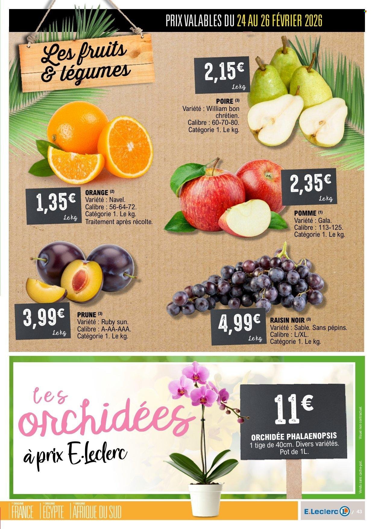 Catalogue E.LECLERC - Du mardi 24 février 2026 (2026-02-24 - 2026-03-08)