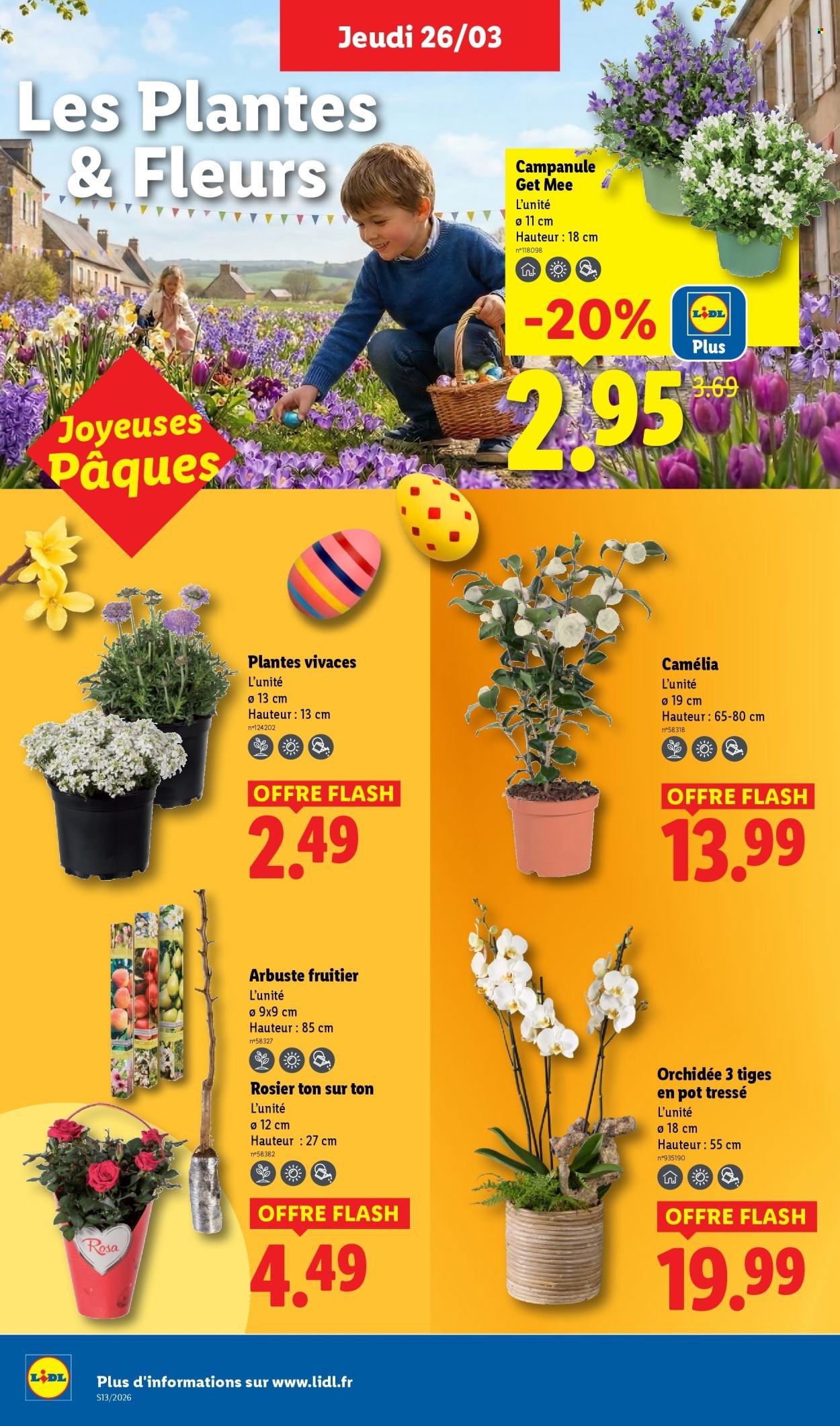 Catalogue LIDL - Les promos de la semaine (2026-03-26 - 2026-04-01)