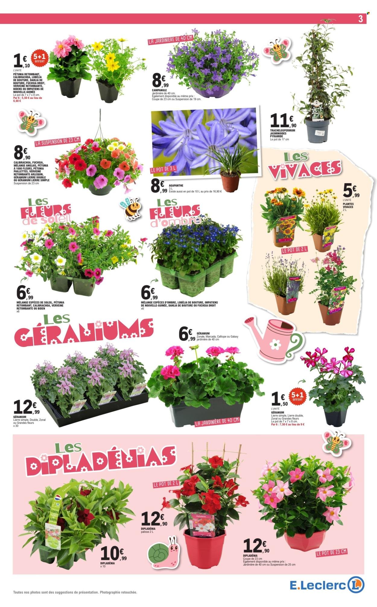 Catalogue E.LECLERC - TOUS AU JARDIN