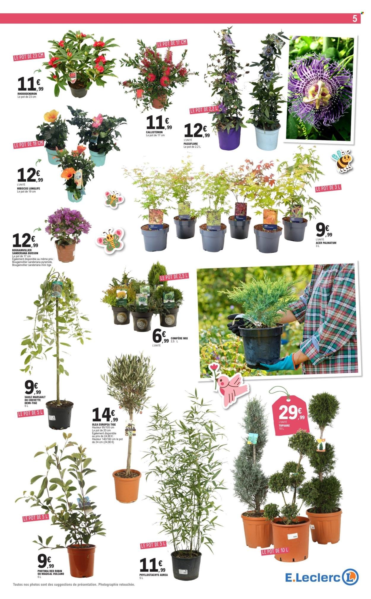 Catalogue E.LECLERC - TOUS AU JARDIN (2026-04-28 - 2026-05-09)