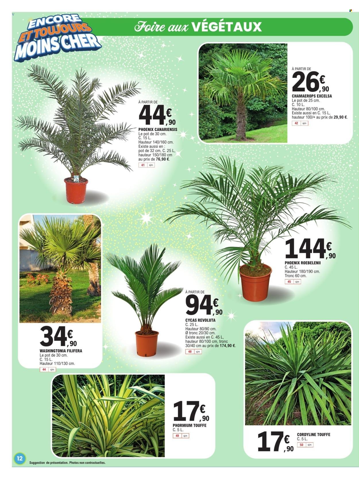 Catalogue E.LECLERC - SADAM ANNIV 2026 (2026-03-10 - 2026-03-14)