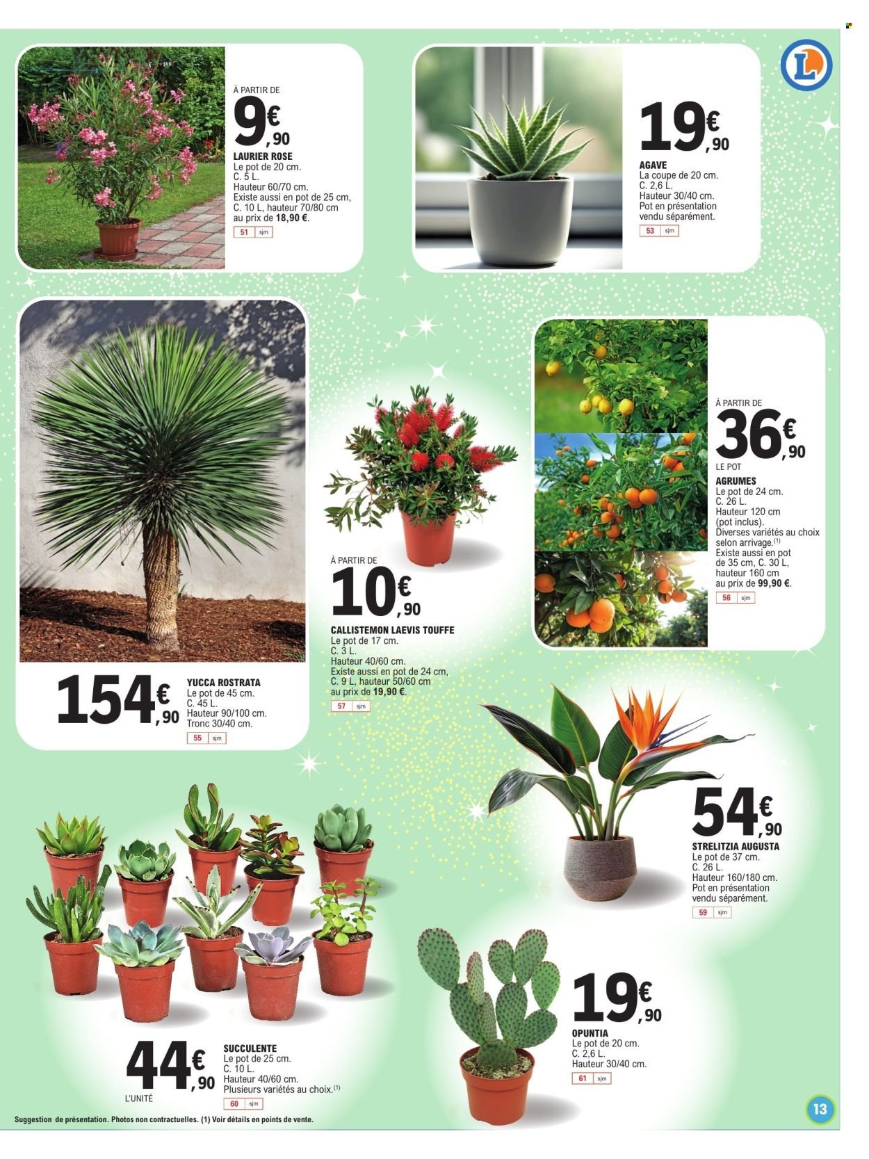 Catalogue E.LECLERC - SADAM ANNIV 2026 (2026-03-10 - 2026-03-14)