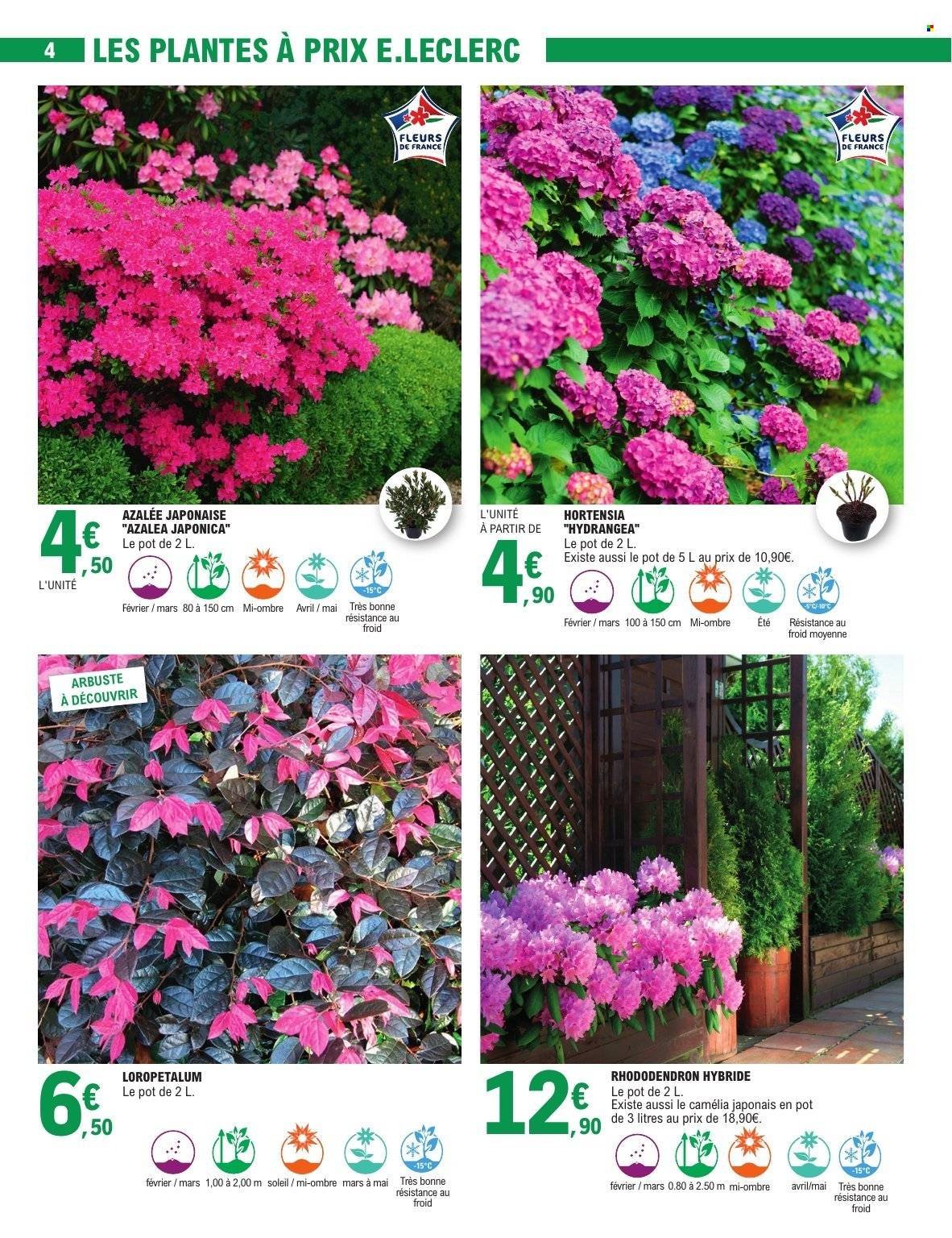 Catalogue E.LECLERC - JARDIN