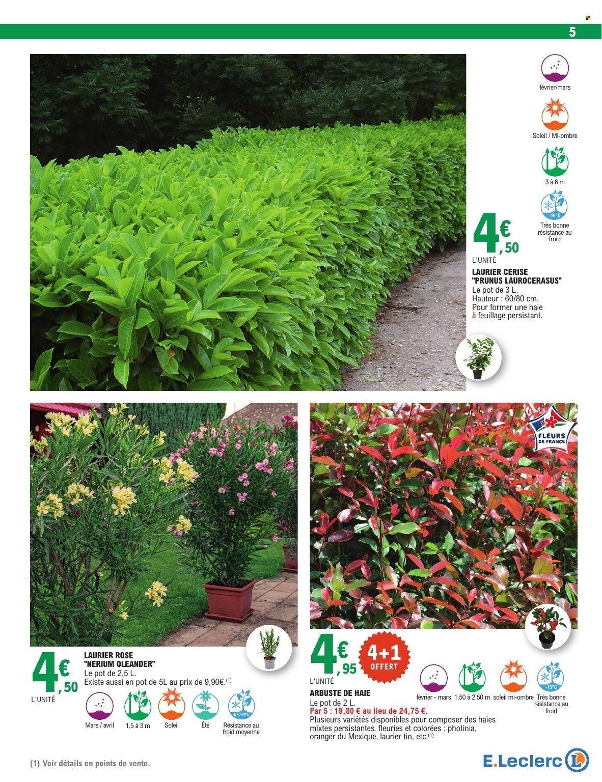 Catalogue E.LECLERC - JARDIN