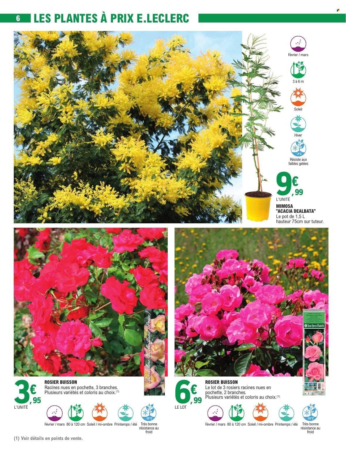 Catalogue E.LECLERC - JARDIN