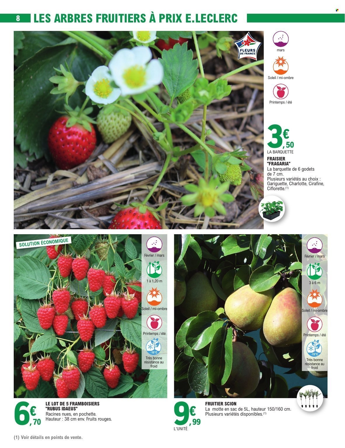 Catalogue E.LECLERC - JARDIN