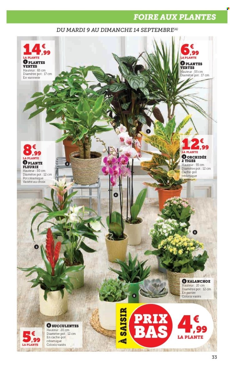 Catalogue HYPER U - Les prix bas de la semaine (2025-09-09 - 2025-09-21)