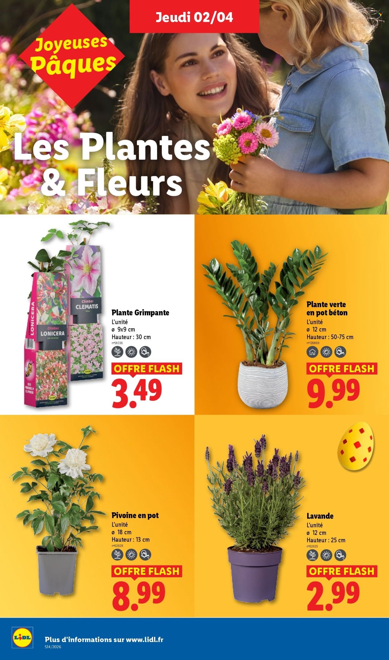 Catalogue LIDL - Les promos de la semaine (2026-04-02 - 2026-04-08)
