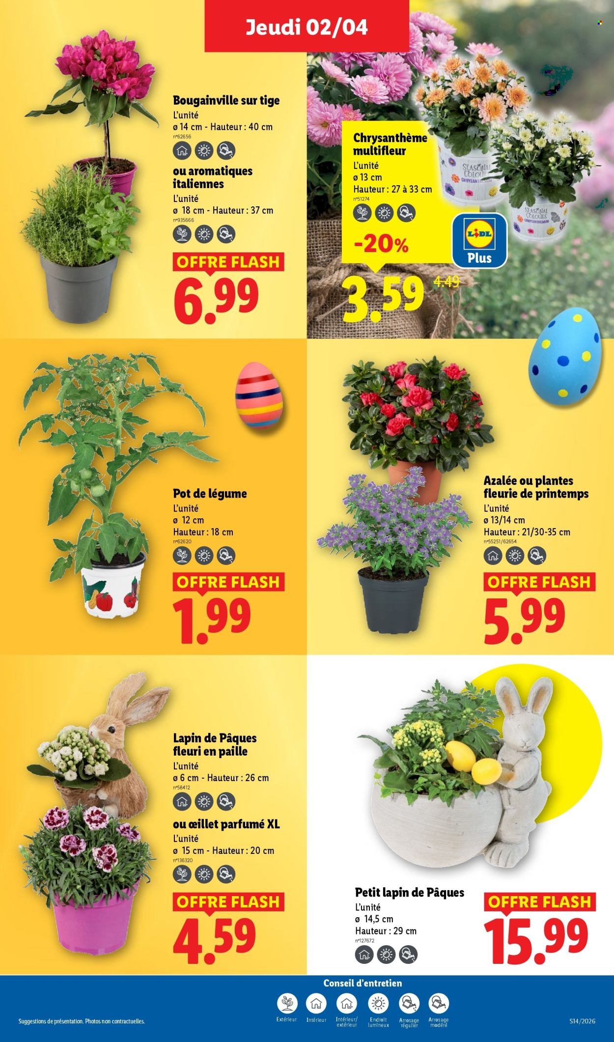 Catalogue LIDL - Les promos de la semaine (2026-04-02 - 2026-04-08)