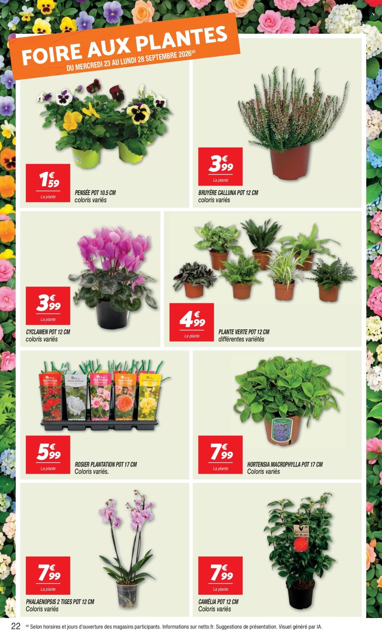 Catalogue NETTO - ON GAGNE TOUS À PAYER MOINS CHER