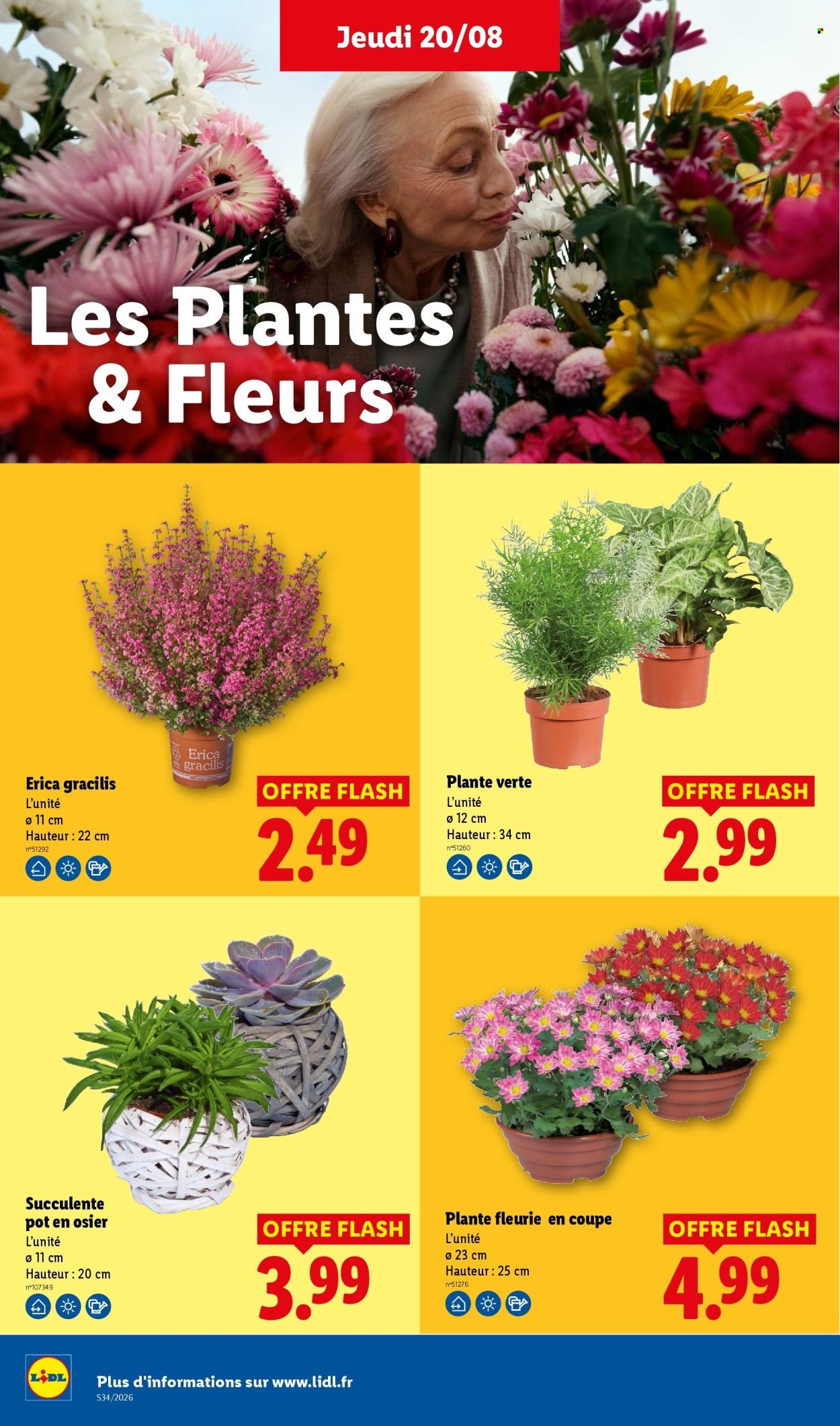 Catalogue LIDL - Les promos de la semaine
